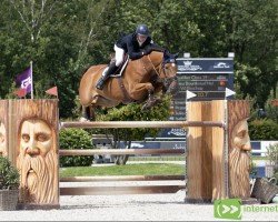 jumper Quint vd Bisschop (Belgian Warmblood, 2016, from Heavy Metal)