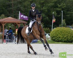 jumper Pure Joy 3 (Hanoverian, 2012, from Perigueux)