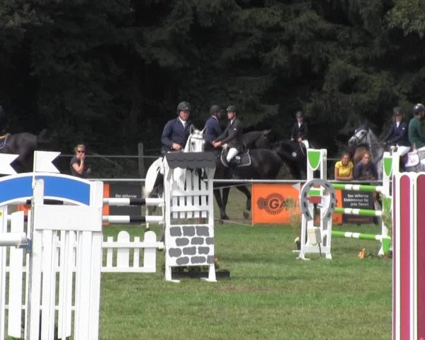Reitsporttage an der Führser Mühle 2013