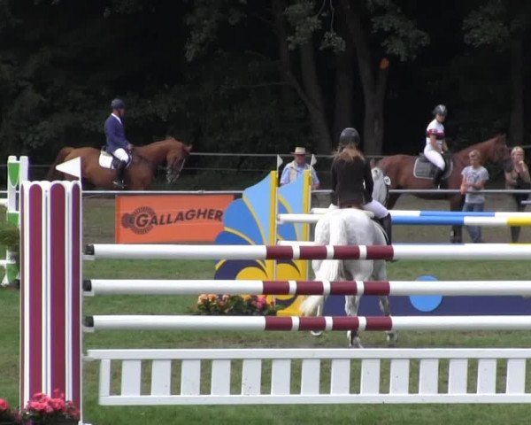 Reitsporttage an der Führser Mühle 2013
