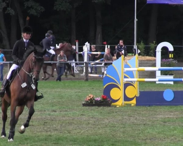 Reitsporttage an der Führser Mühle 2013