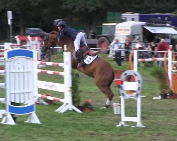 Reitsporttage an der Führser Mühle 2013