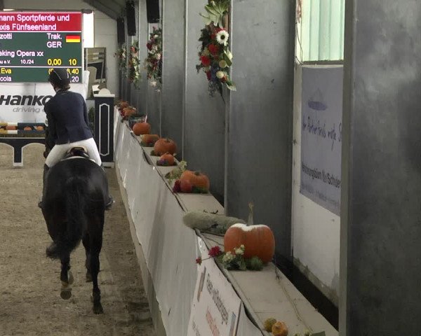 Reitturnier Karlsfeld/Obb. 2021