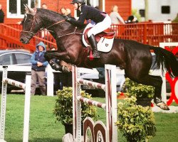 jumper Winner (KWPN (Royal Dutch Sporthorse), 2003, from Ohorn)