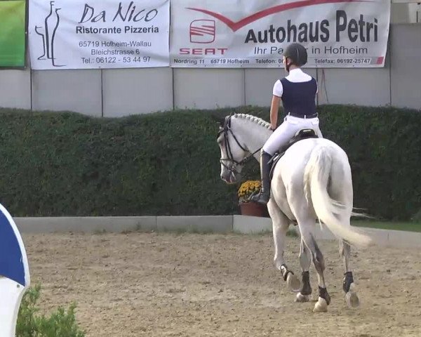 16. Wallau Classics vom 22.08. - 25.08.2013