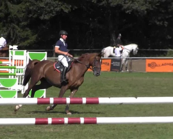 Reitsporttage an der Führser Mühle 2013