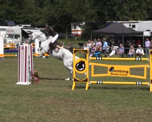 Reitsporttage an der Führser Mühle 2013