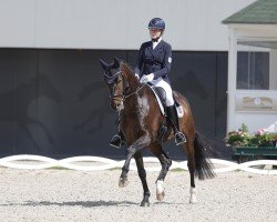 dressage horse Valdividan W (Rhinelander, 2016, from Veneno)