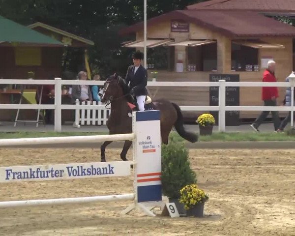 16. Wallau Classics vom 22.08. - 25.08.2013