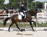 dressage horse Grand Passion (Trakehner, 2005, from Oliver Twist)
