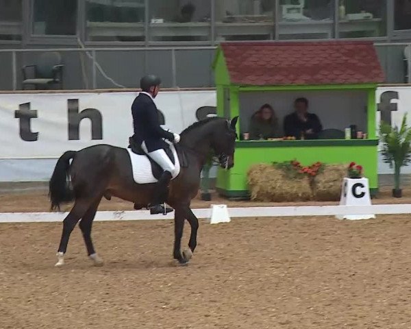 Reitturnier Kreuth/Opf. 2021