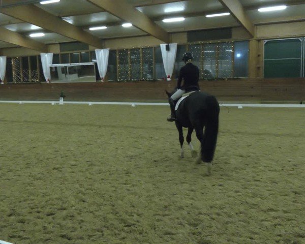 Reitturnier Coesfeld/Lette 2024