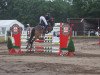 jumper Phyllina (New Forest Pony, 2015, from Poppings Marribo)