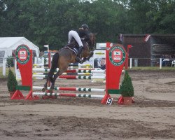 jumper Phyllina (New Forest Pony, 2015, from Poppings Marribo)