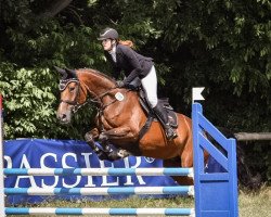 jumper Shynea (Hanoverian, 2015, from Stolzenberg)