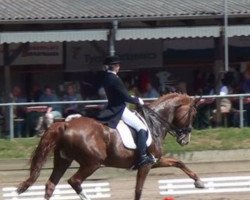 dressage horse Ravenna la Filia (Württemberger, 2000, from Royal Diamond)