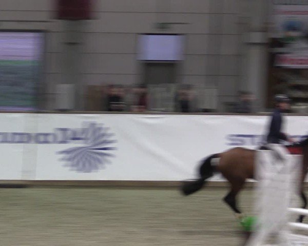 Reitturnier Prussendorf 2024