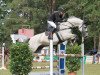 jumper Quality Sunday (German Sport Horse, 2010, from Quick Amour GE)