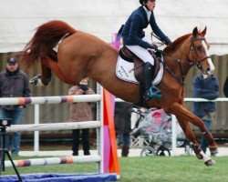 horse Nana de Bourgogne (Selle Français, 2001, from Carnac Del Follee)