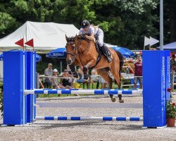 Springpferd Chanel Royal CH (Schweizer Warmblut, 2008, von Royal Z I)