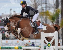 jumper Elios de L'Epinette (Belgium Sporthorse, 2010, from Ogano Sitte)