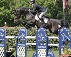 stallion Pegase van 't Ruytershof (Belgian Warmblood, 2015, from Comme il Faut)