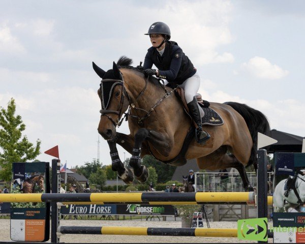 Springpferd Dudy Z (Zangersheide Reitpferd, 2016, von Douglas)