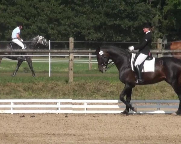 Reitsporttage an der Führser Mühle 2013