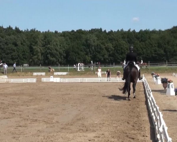 Reitsporttage an der Führser Mühle 2013