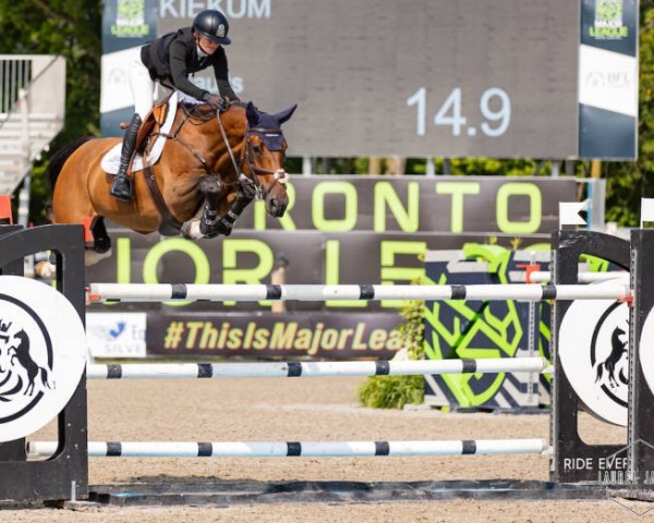 Springpferd Kiekum (KWPN (Niederländisches Warmblut), 2015, von Quick Star)