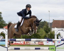 jumper Kenya Touch Hero Z (Zangersheide riding horse, 2018, from Kassander van het Roosakker)