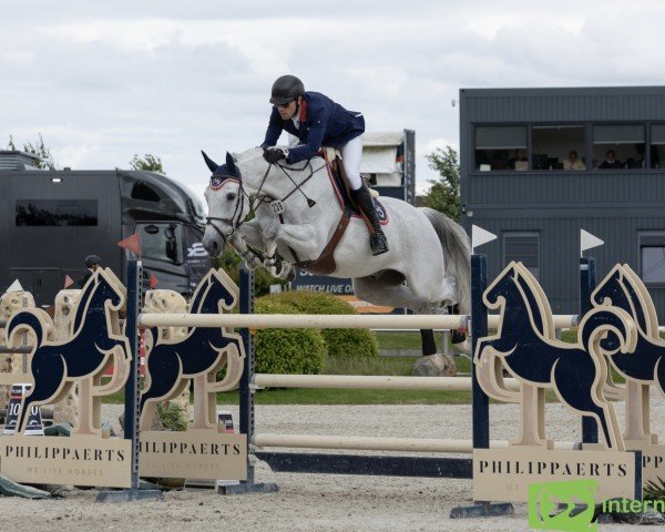 Springpferd H5 Jemousin van den Dael (Belgisches Warmblut, 2009, von Vivaldi du Seigneur)