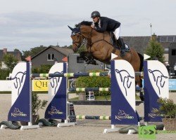 Springpferd Hilfinger van de Zuuthoeve (Belgium Sporthorse, 2013, von Thunder van de Zuuthoeve)