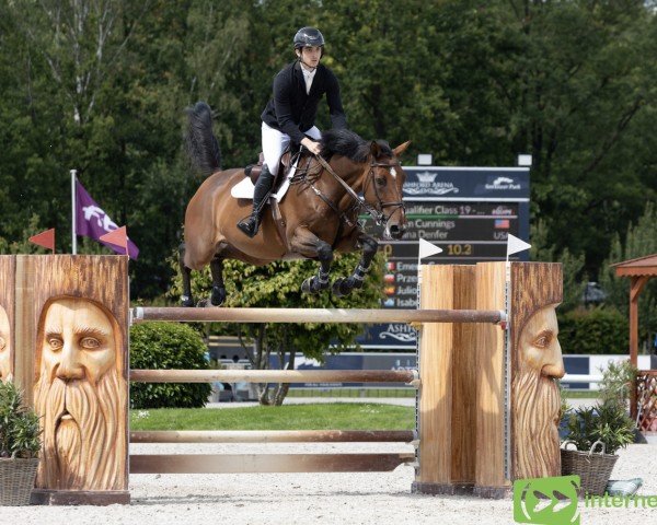 Springpferd Quilana Denfer (Luxemburgisches Reitpferd, 2013, von Quidam de Revel)