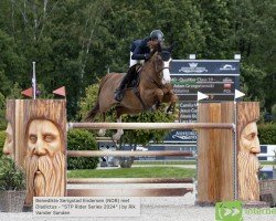 jumper Valanna (Irish Sport Horse, 2014, from Valent)