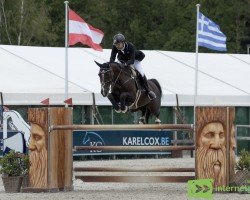 jumper Zef (KWPN (Royal Dutch Sporthorse), 2012, from Zavall VDL)