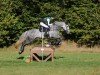 jumper Adastra Golden (Irish Sport Horse, 2017, from Hector van d'Abdijhoeve)