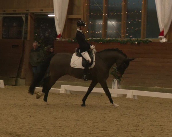 Reitturnier Coesfeld/Lette 2024