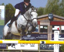 Springpferd Easy Dith (Belgisches Warmblut, 2004, von Tamura van 't Heike)