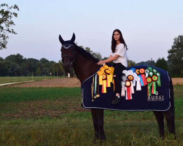 dressage horse Urleven's Leon (Württemberger, 2000)