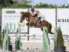 jumper Quebec vd Middelstede (Belgian Warmblood, 2016, from Tangelo van de Zuuthoeve)