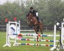 jumper Pretty Little Dandelion (German Riding Pony, 2017, from Playback)