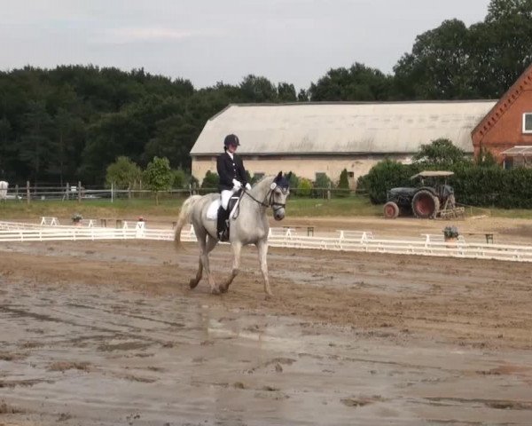 Reitsporttage an der Führser Mühle 2013