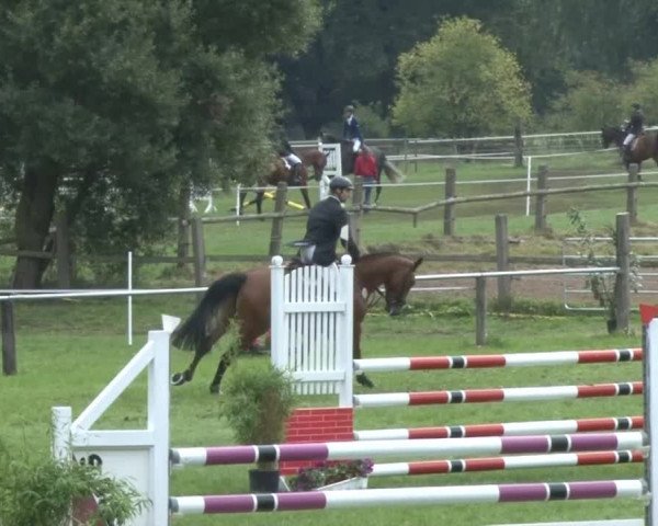 Reitsporttage an der Führser Mühle 2013