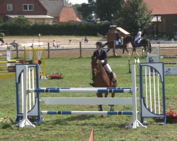 Reitsporttage an der Führser Mühle 2013