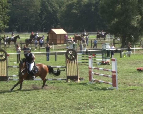 Reitsporttage an der Führser Mühle 2013