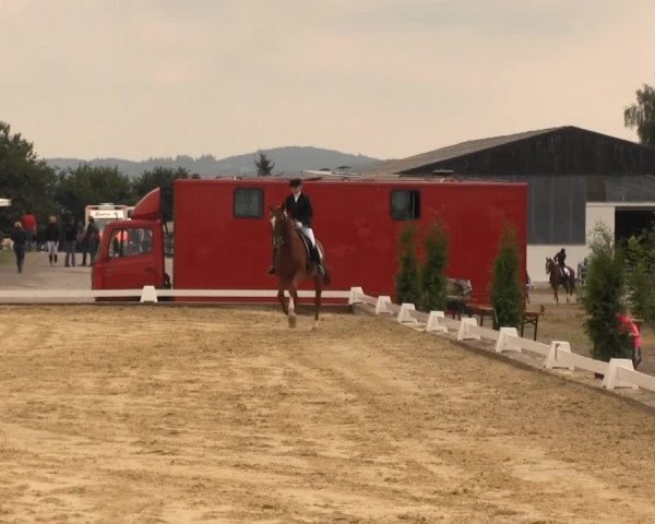 Bühren-Breckerfeld 2013