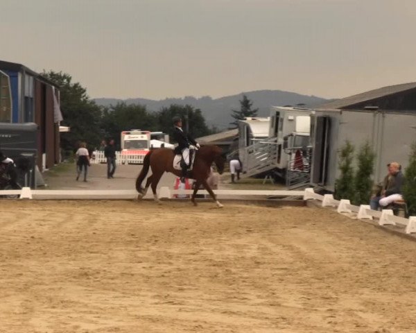 Bühren-Breckerfeld 2013
