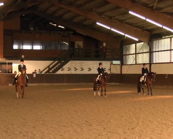 Bühren-Breckerfeld 2013
