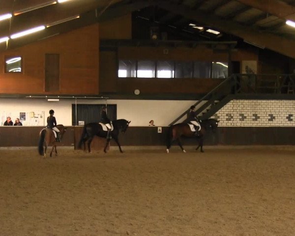 Bühren-Breckerfeld 2013
